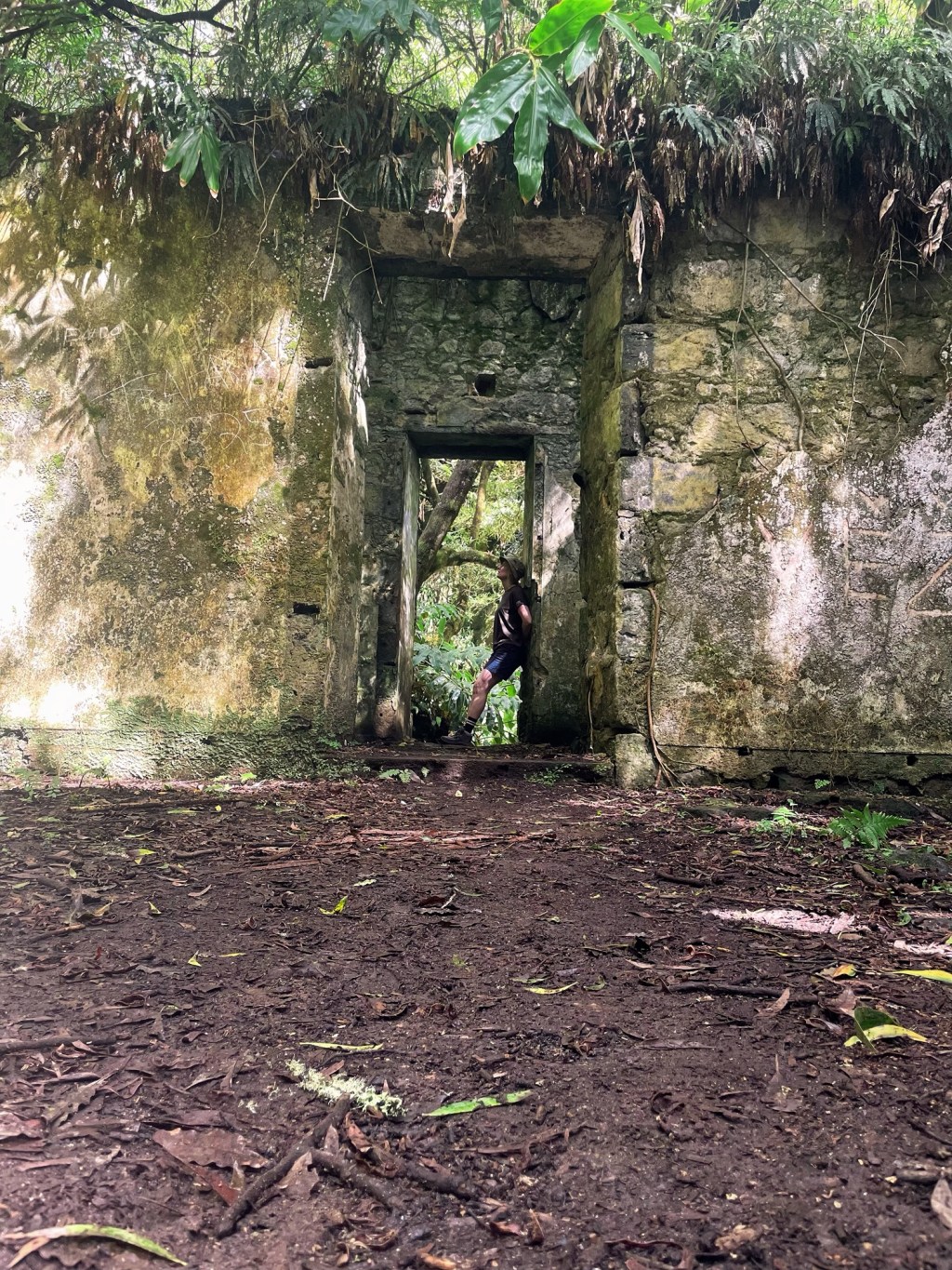 Up Hill, Down Donkey